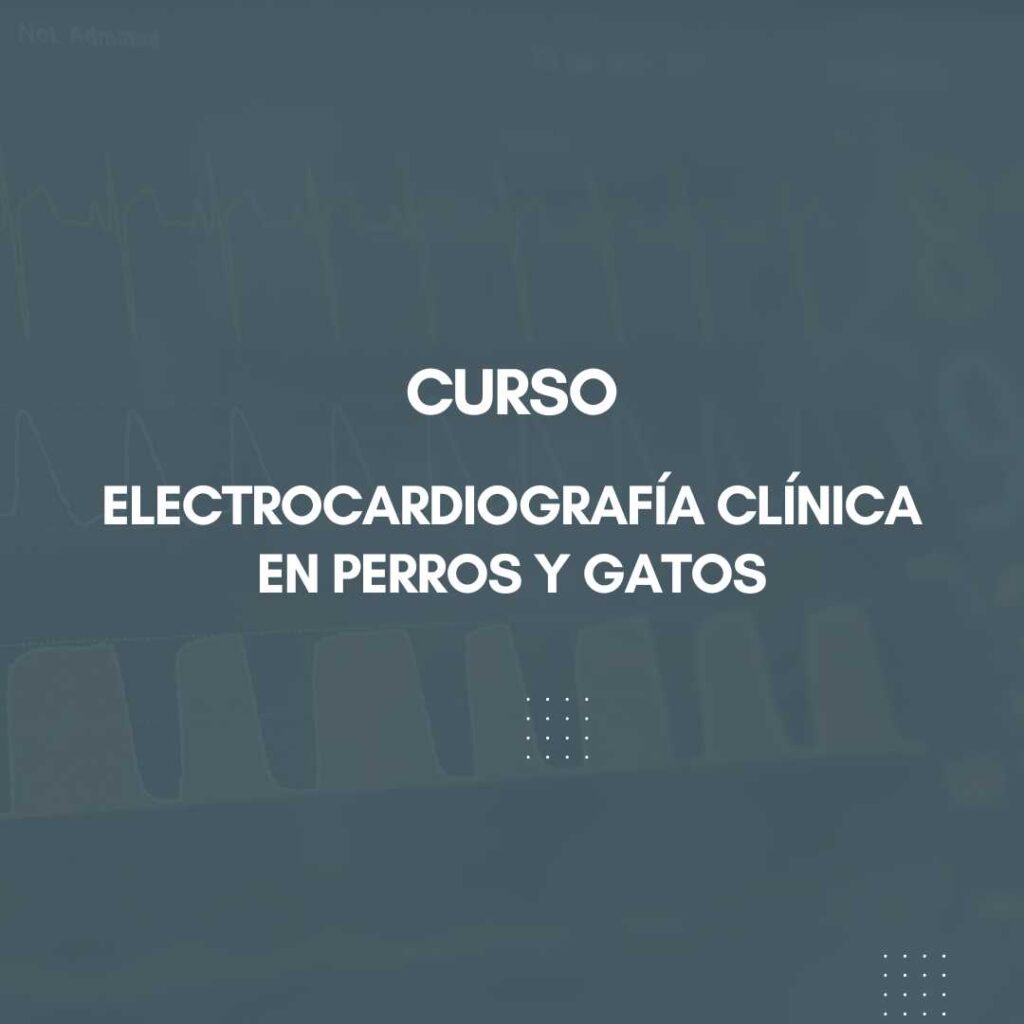 Curso Electro Cardiografía Clínica en Perros y Gatos