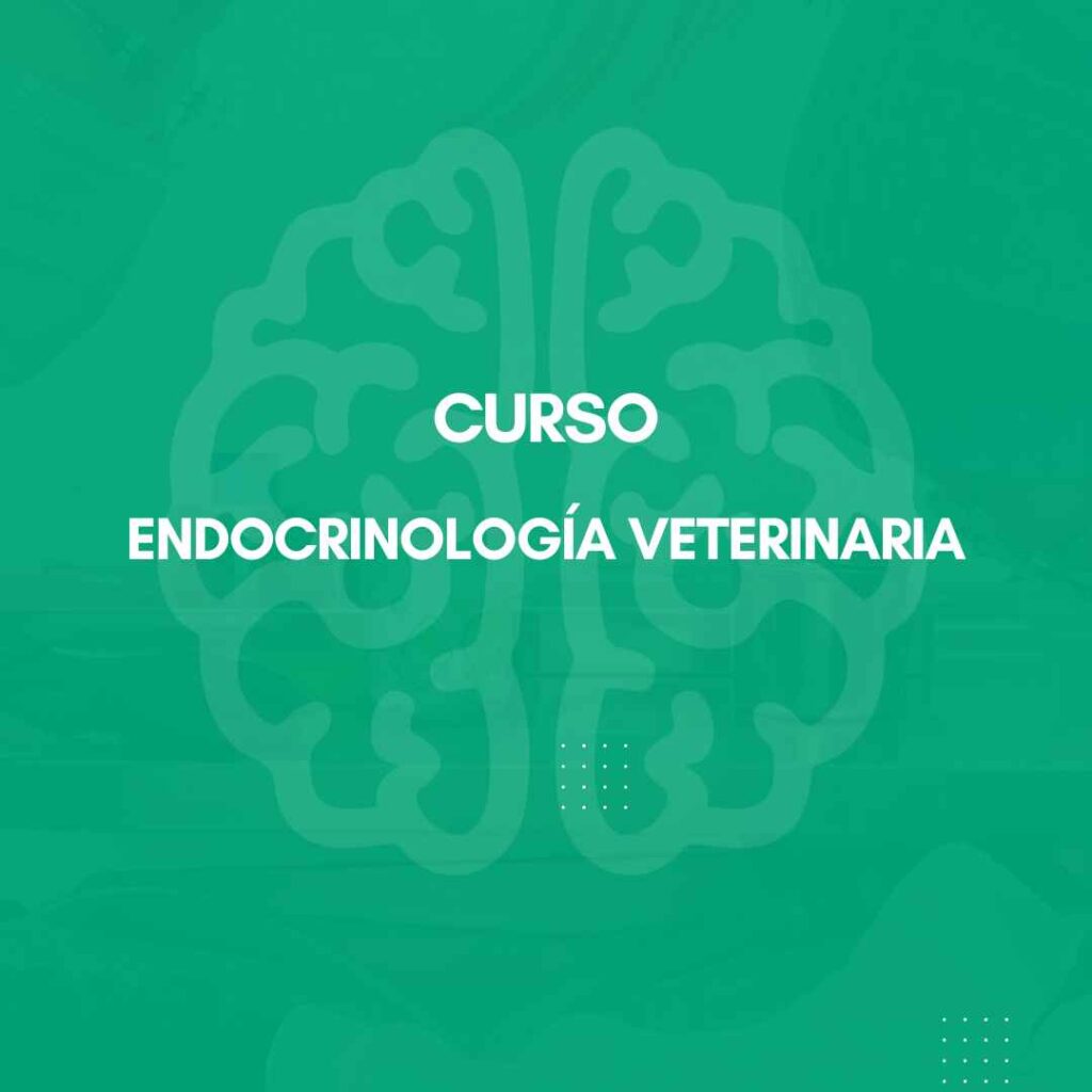 Curso Endocrinología Veterinaria