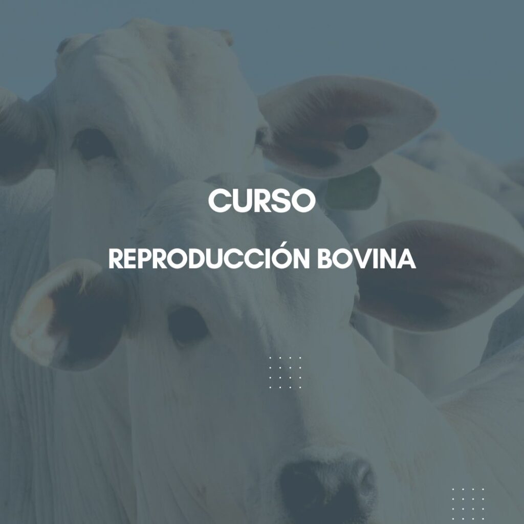 Curso Reproducción Bovina