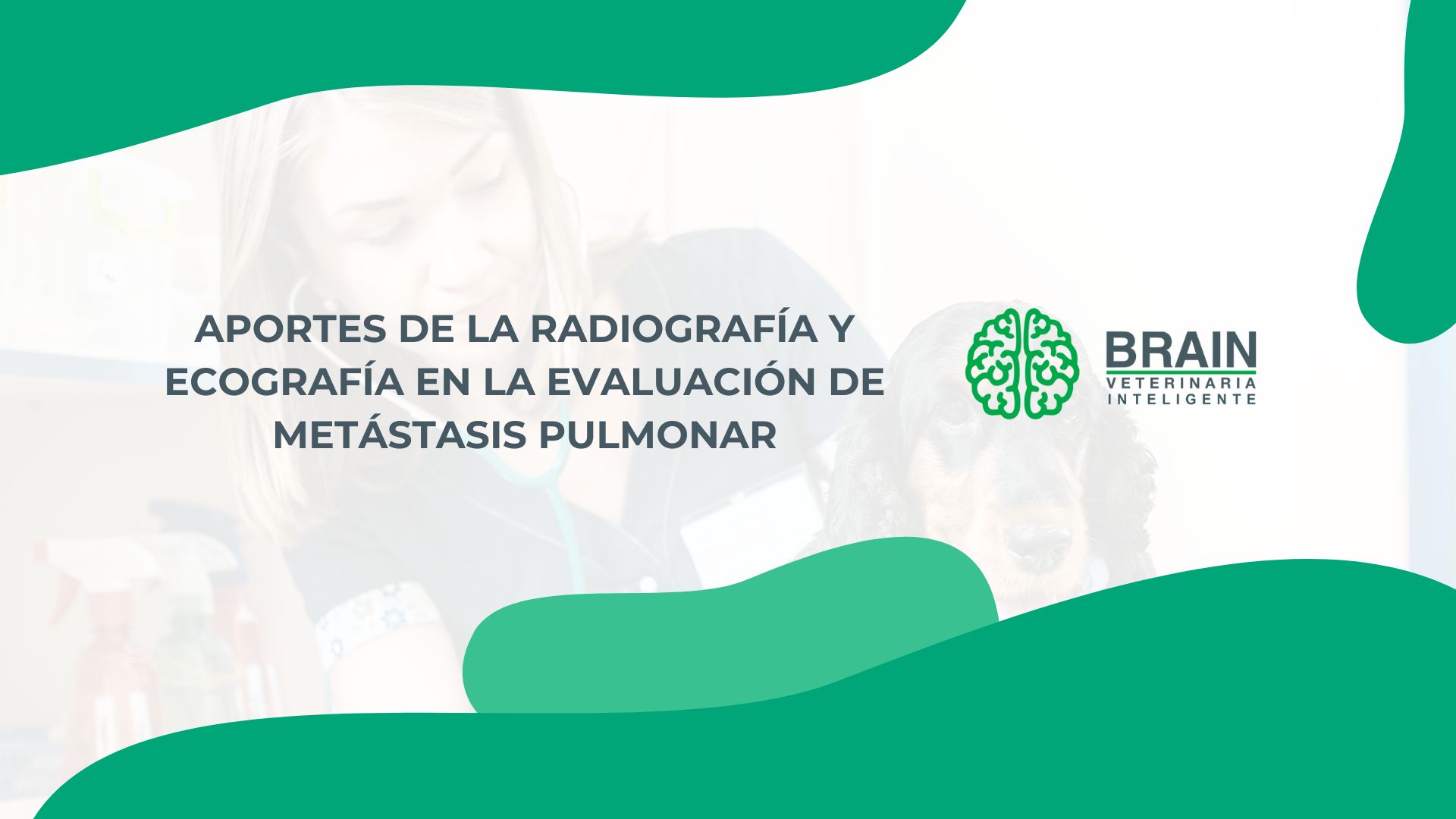 webinar Aportes de la Radiografía y Ecografía en la Evaluación de Metástasis Pulmonar