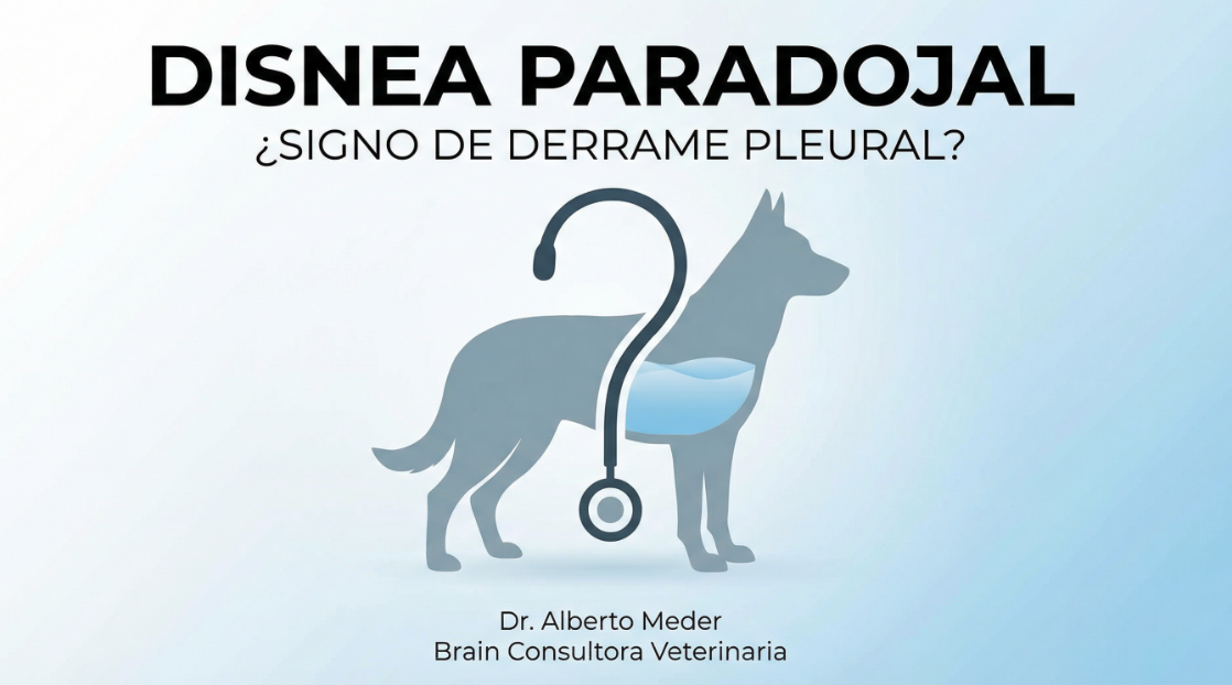 Webinar Disnea Paradojal: ¿El signo del derrame pleural? Dr. Alberto Meder