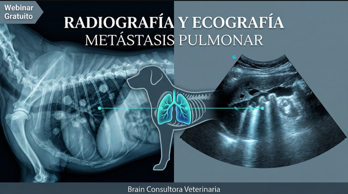 Aportes de la Radiografía y Ecografía en la Evaluación de Metástasis Pulmonar
