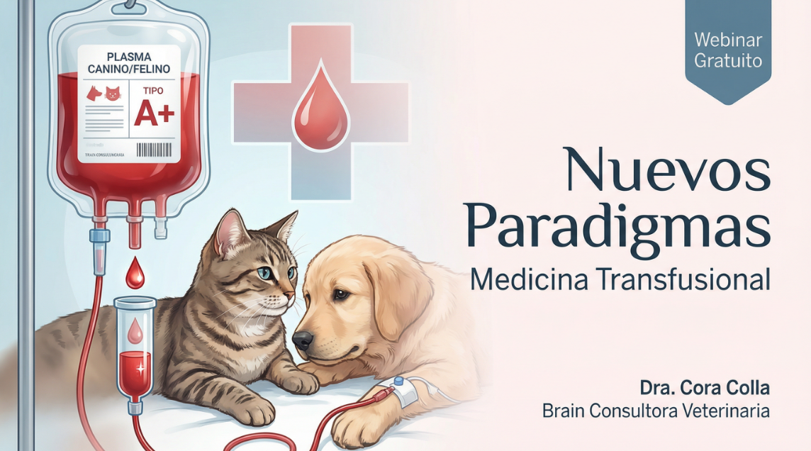 Nuevos paradigmas en medicina transfusional