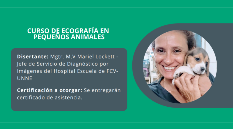 Taller: Ecografía en Pequeños Animales