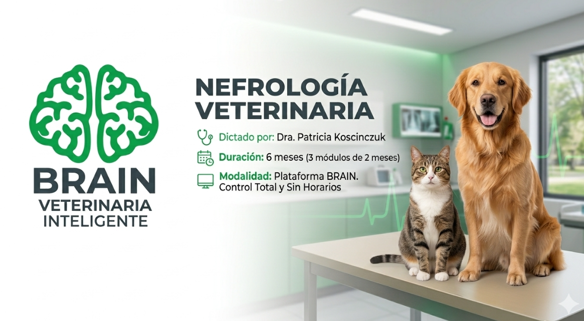 Nefrología Renal Veterinaria