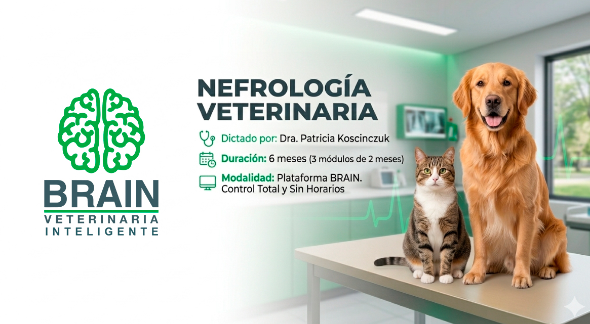 Nefrología Veterinaria