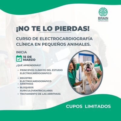 Curso Electrocardiografia (1080 x 1080 px)